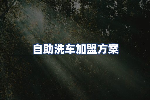 自助洗车加盟方案