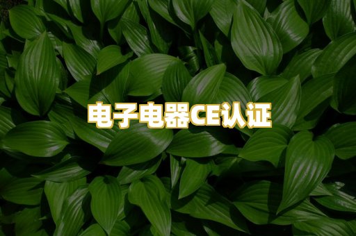 电子电器CE认证
