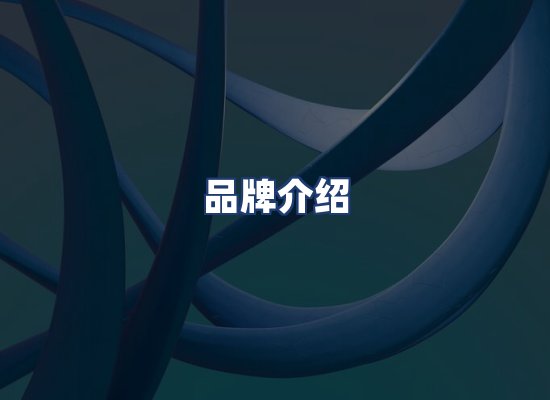品牌介绍
